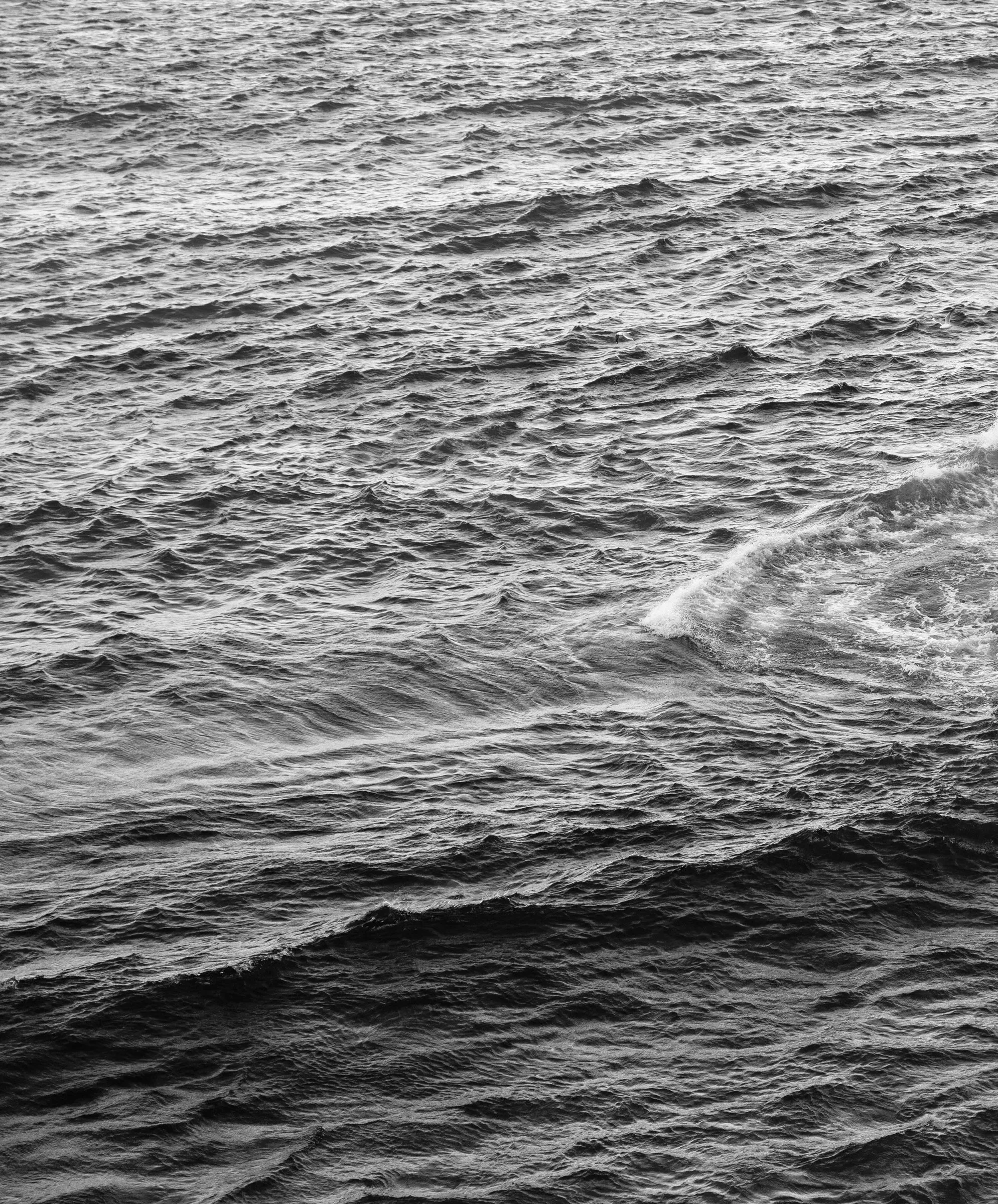 Apex Jacket by Kelly Slater - SALE - Outerworn