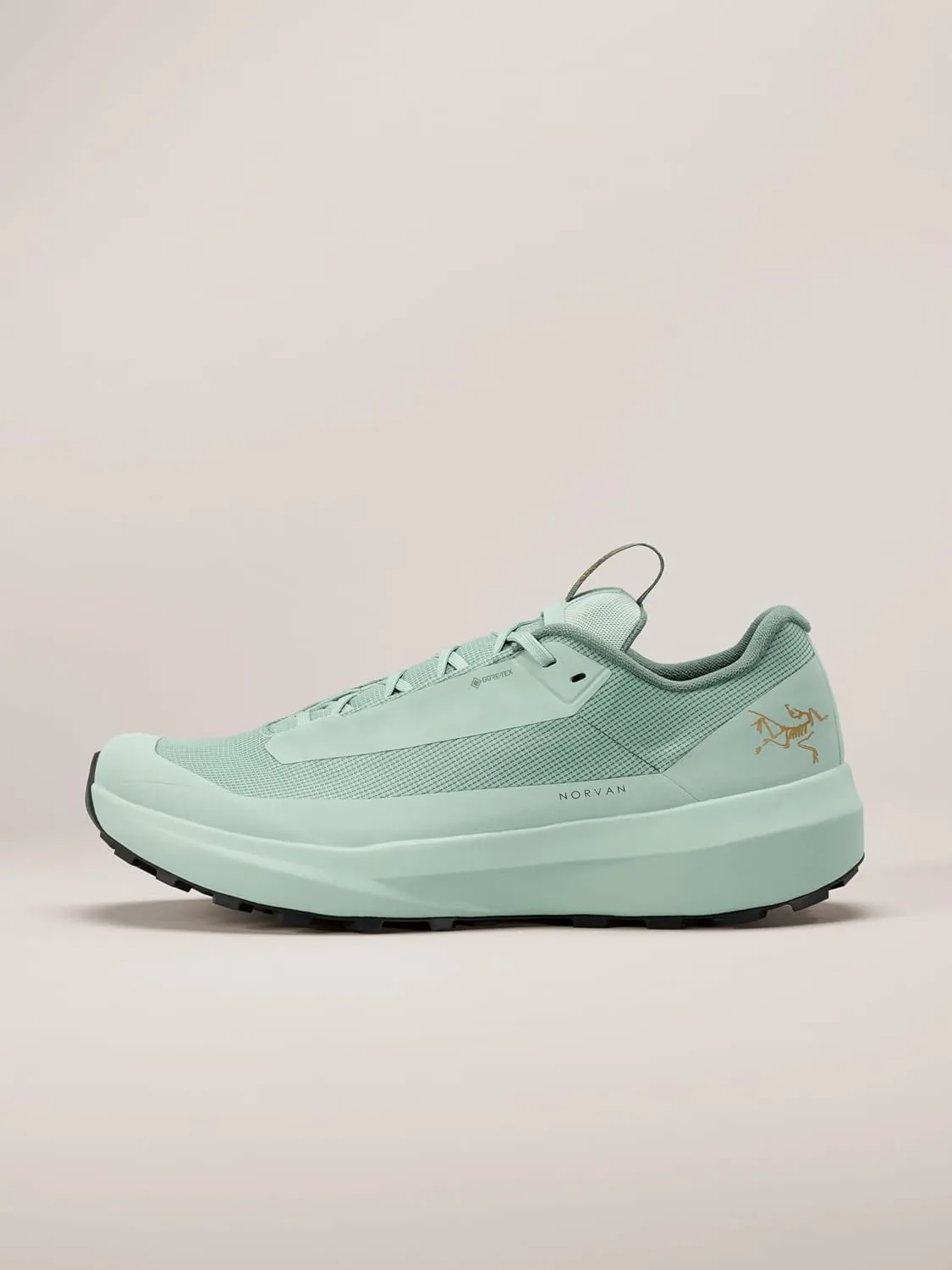 Arc'teryx Men's Norvan LD 4 GTX - Waterproof Trail Running Shoes for Men, Designed for Long-Distance Mountain Runs