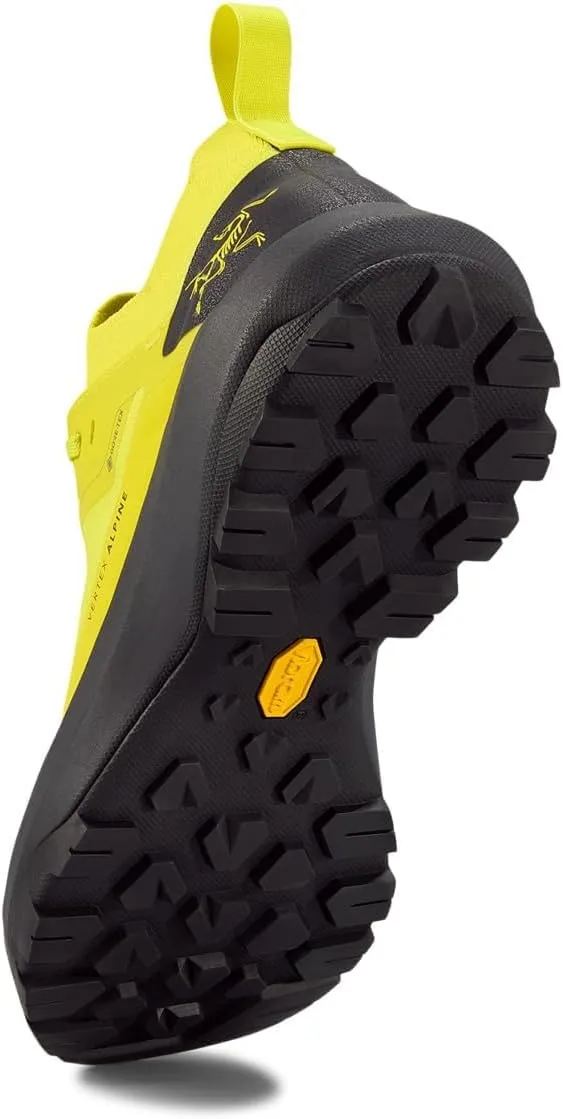 Arc'teryx Men's Vertex Alpine GTX Hiking Shoe