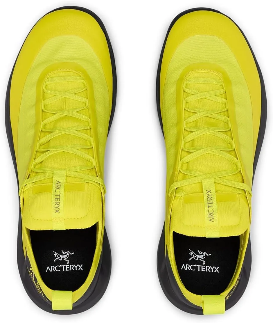 Arc'teryx Men's Vertex Alpine GTX Hiking Shoe