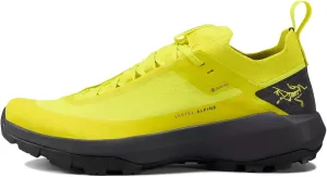Arc'teryx Men's Vertex Alpine GTX Hiking Shoe