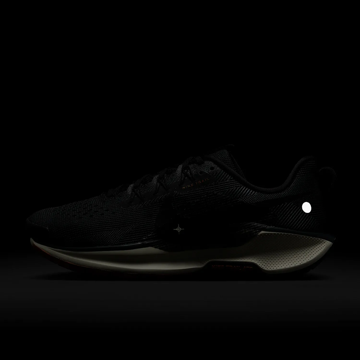 Nike Pegasus Trail 5 Mens